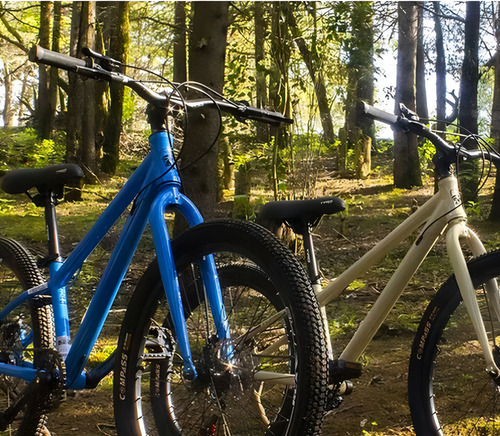 Mountain Bike Infantil Turbo R24 Tx 4.1 Freno Disco Mecanico Color Azul