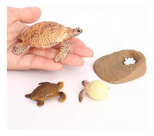 Tortuga De Plástico Ciclo De Animal Tortuga Marina 2423
