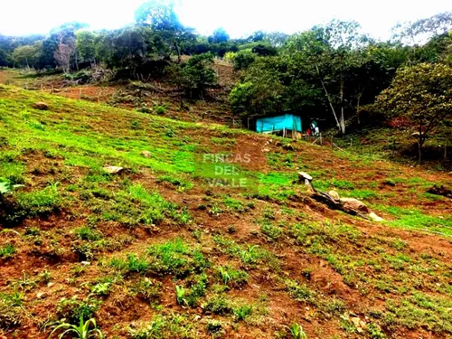 Vijes, 28.418 M2, Lote En Venta Con Excelente Ubicación