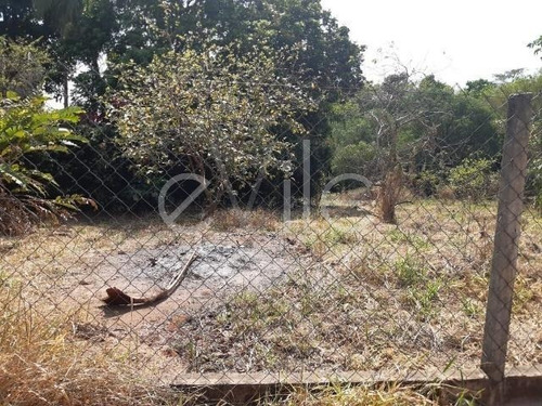 Terreno À Venda Em Bairro Das Palmeiras - Te008416
