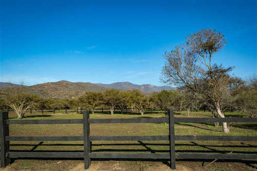 Terreno En Venta En Zapallar