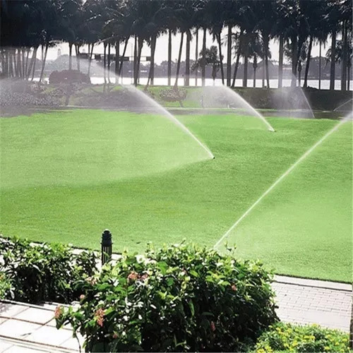 Aspersor Desplegable Rain Bird 1/2 Sprinkler Drive, 5 Unidad