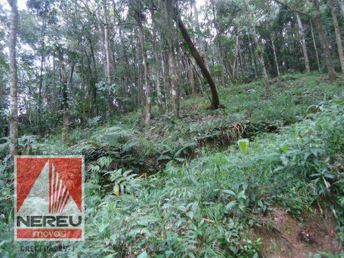 Imagem 1 de 4 de Terreno Residencial - 1301