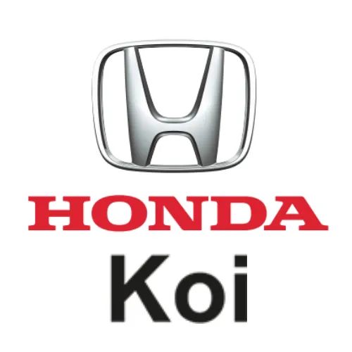 Koi