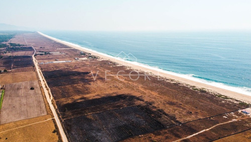 Imagen 17 de 22 de Terreno Frente A Playa De Acapulco, Guerrero