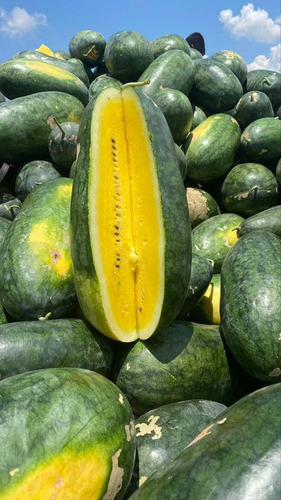 50 Semillas De Sandia Amarilla Larga