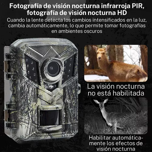 Camara De Caza Digital Infraroja Para La Noche Grabar Animales