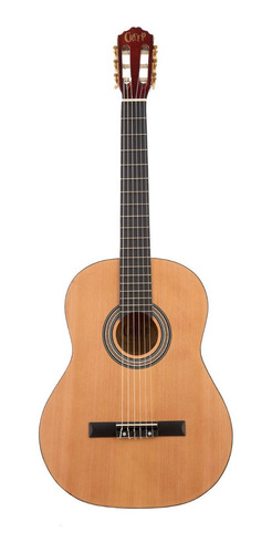 Imagen 1 de 5 de Guitarra Clasica Nylon Con Funda Outlet - Leer Descripcion