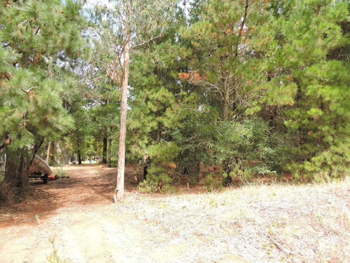 Lote En Venta Sendero I . Costa Esmeralda