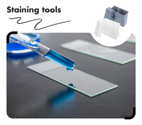 Portaobjetos Para Microscopio, Tarro Y Estante Para Tinción,