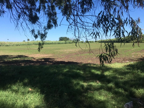 Imagen 7 de 11 de Campo Agrícola 15 Ha - Comuna Ricardone