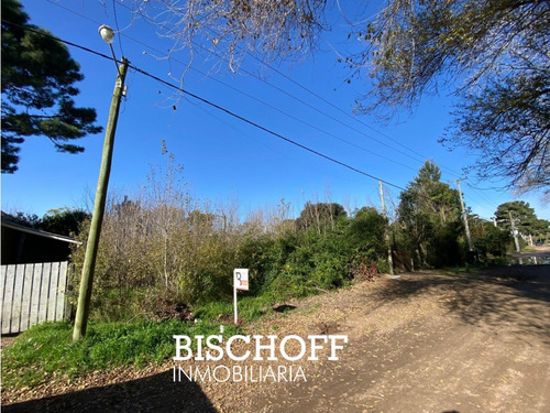 Venta De Terreno En Ostende Excelente Ubicación Sobre Calle Dakar