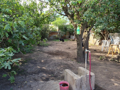 Imagen 11 de 12 de Casa Americana Con Muy Buen Terreno De 400 M2