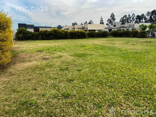Imagen 2 de 2 de Hermoso Lote En Country La Herencia Los Nogales