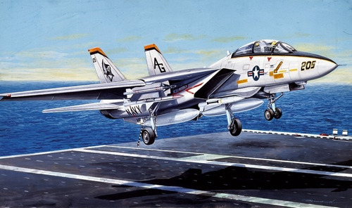 F-14 A Tomcat 1/72 Maqueta Model Kit - Italeri