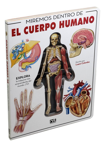 Miremos Dentro De El Cuerpo Humano