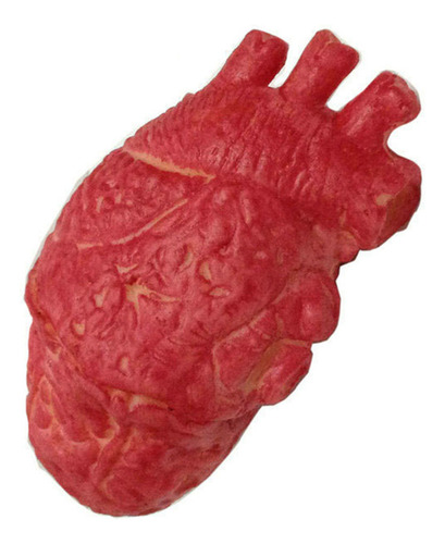 Corazón Artificial, Látex Humano Falso, Tamaño Natural, Sang