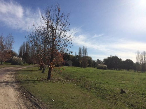 Venta - Gran Propiedad En El Argentino - Bayugar Negocios Inmobiliarios
