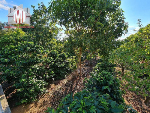 Imagem 17 de 30 de Ótima Chácara, Com 3 Dormitórios, Campinho De Futebol, Pomar, Horta, Bem Localizada, À Venda, 4400 M² Por R$ 360.000 - Rural - Socorro/sp - Ch0972