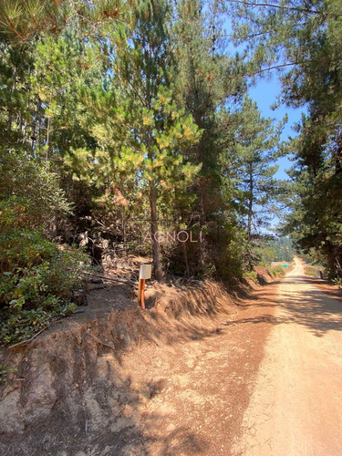 En Venta Excelente Sitio A 5 Minutos De Puertecillo