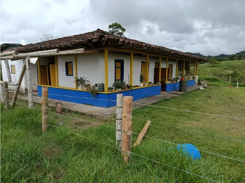 Venta Finca Filandia A Borde De Carretera - 20 Cuadras