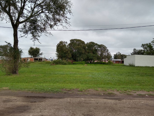 Imagen 2 de 3 de Lote En Venta Barrio La Paloma