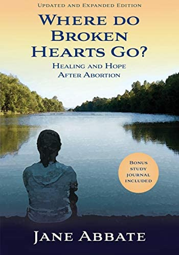 Where Do Broken Hearts Go?: Healing And Hope After Abortion, De Abbate, Jane. Editorial Messy Miracles, Tapa Blanda En Inglés
