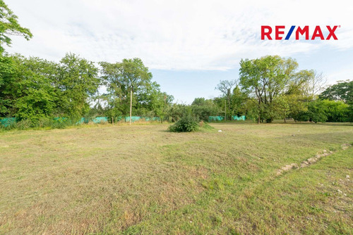 Imagen 7 de 30 de Lote 600 M2 Venta Moreno Bo. Semicerrado