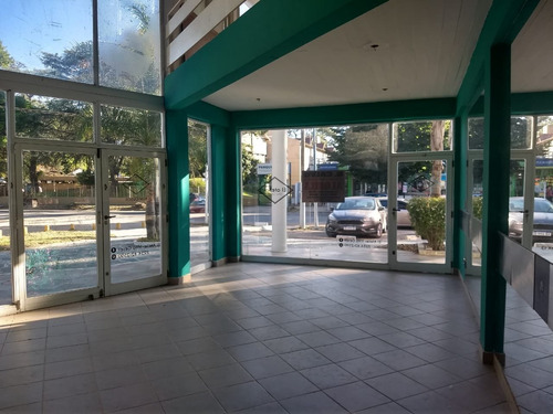 Imagen 6 de 10 de Zona Centro