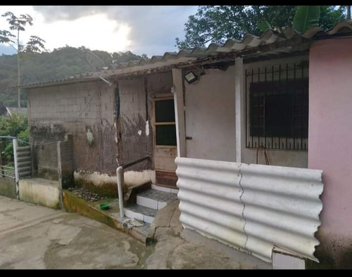 Imagem 5 de 14 de Chacrinha