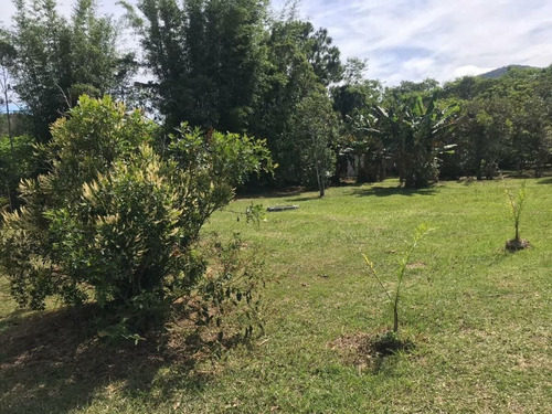 Imagem 22 de 30 de Garagem À Venda Em Florianópolis/sc - Ps07