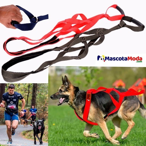 Imagen 1 de 1 de Arnes Canicross Trotar Correr Con Perro Deporte Profesional