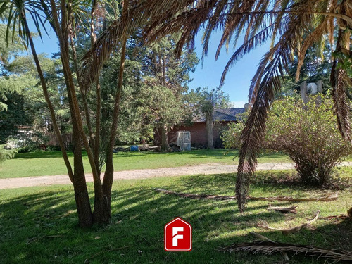 Imagen 4 de 5 de Venta Lote De Terreno En General Belgrano - 12 Por 35 (420 M2) C/ Todos Los Servicios Y Escritura.
