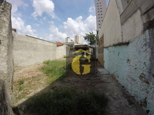 Imagem 4 de 4 de Terreno À Venda, 240 M² Por R$ 650.000 - Mooca - São Paulo/sp - Te0033