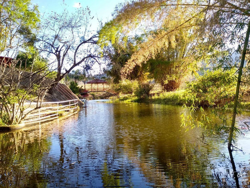 Las Bugambilias Talpa De Allende.