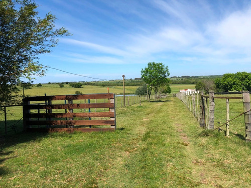 Campo De 73 Hás En Venta En San José, Al Límite Con Colonia.