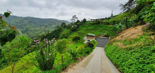 Imagen 7 de 15 de Hermosa Finca Muy Cerca A Pereira
