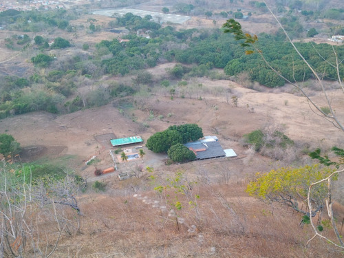 Imagen 4 de 14 de Excelente Finca Ubicada En San Sebastian. Estado Aragua