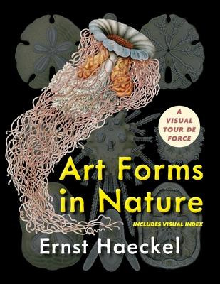 Libro Art Forms In Nature (dover Pictorial Archive) - Ern...