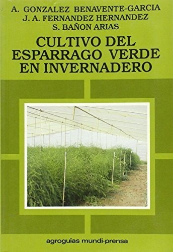 Cultivo Esparrago Verde Invernadero