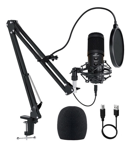 Microfono Condensador Condenser Profesional Estudio Bm1200 ! Color Negro