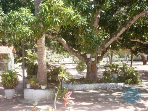 Imagem 6 de 10 de Cod.10414 - Sitio Em Ceara Mirim - V-10414