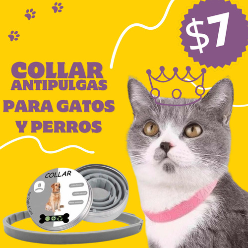 Collar Antipulgas Antigarrapatas Para Gatos Y Perros