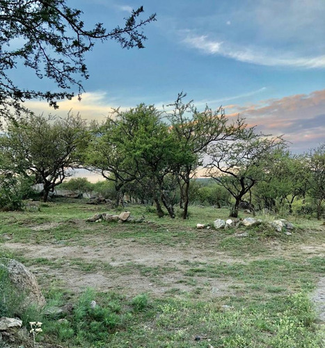 Imagen 12 de 13 de Venta Campo - Villa Del Dique, Valle De Calamuchita