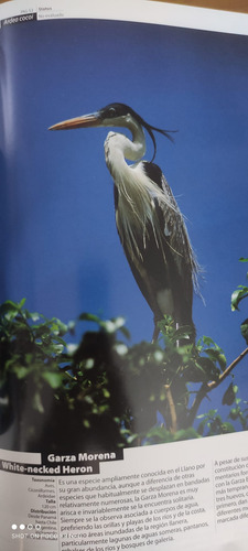 Fauna De Venezuela ..