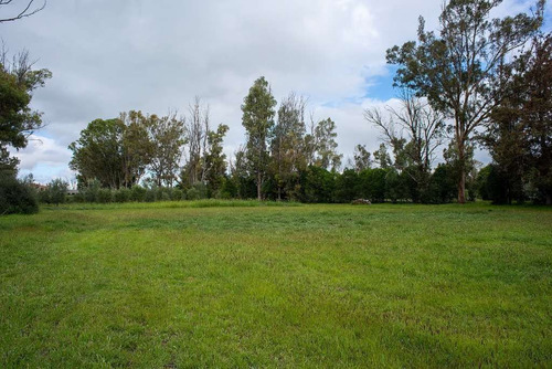 En Venta Lote En Viñedo San Lucas, San Miguel De Allende