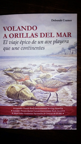 Volando A Orillas Del Mar / Vázquez Mazzini