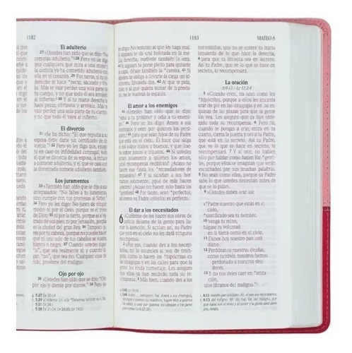 Biblia Nueva Version Internacional Letra Grande Fucsia/ Rosa