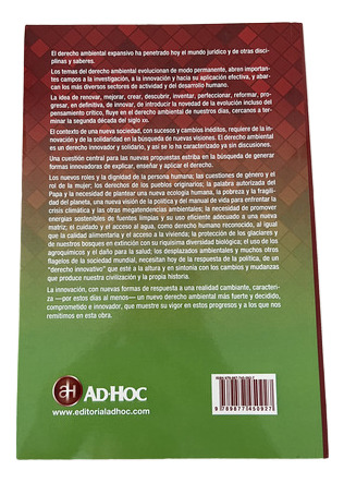 Derecho Ambiental Innovativo - Dino Bellorio Clabot (Usado)