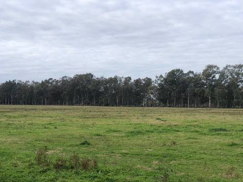 Loteo La Eugenia By Moradas Venta De Lotes Con Amplia Financiacion En Ezeiza